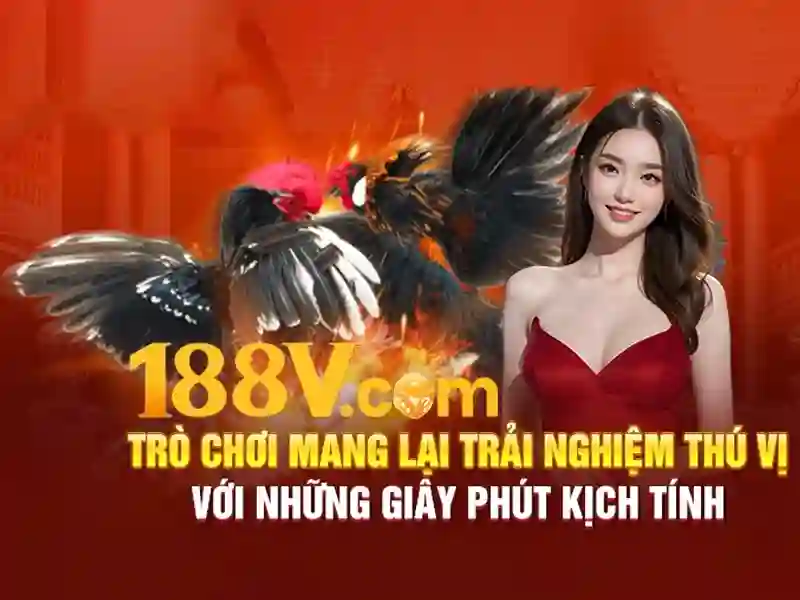 💎ty le ca cuộc💎 💎ty le ca cuộc💎