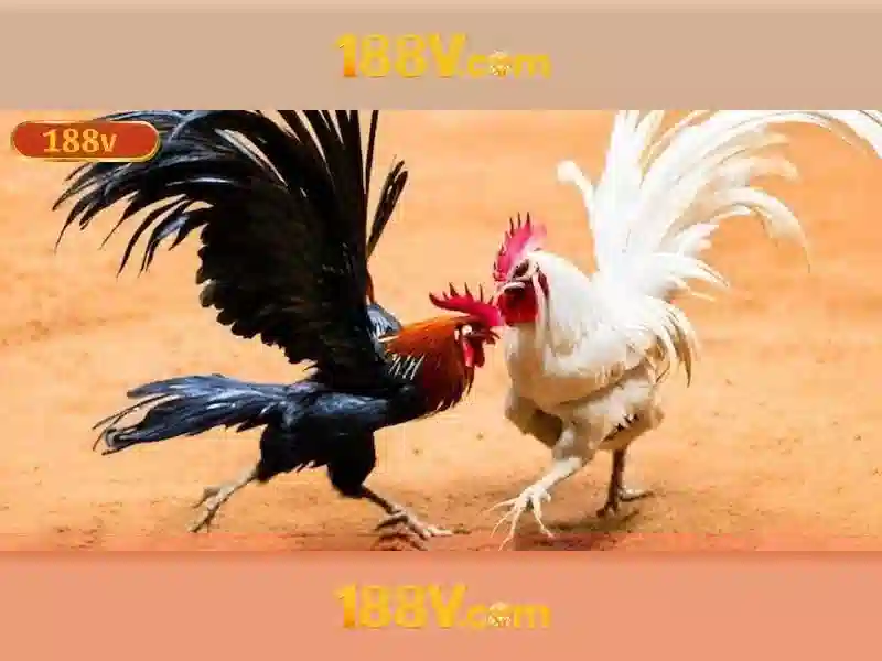 188V – Hướng Dẫn Rút Tiền 188V Hiệu Quả Cho Người Chơi Slot - 188V 188V – Hướng Dẫn Rút Tiền 188V Hiệu Quả Cho Người Chơi Slot - 188V