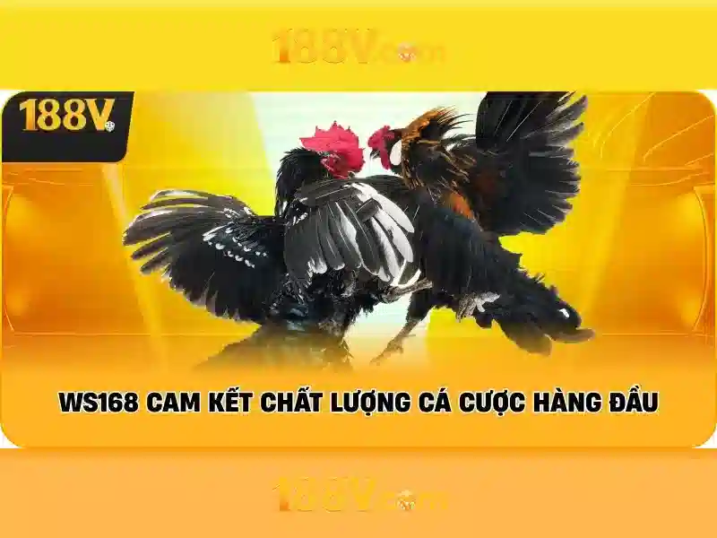 188v nạp tiền - 188V 188v nạp tiền - 188V